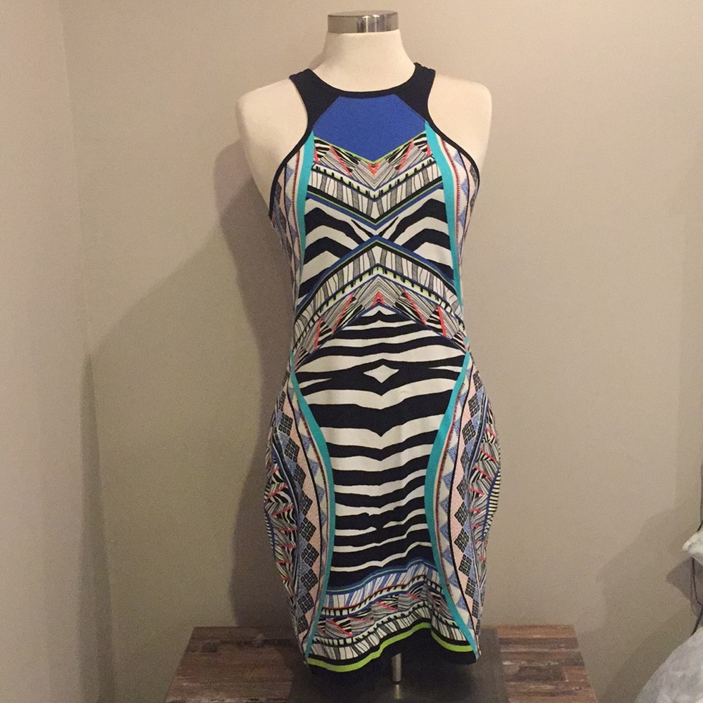 Express tribal animal print colorful dress